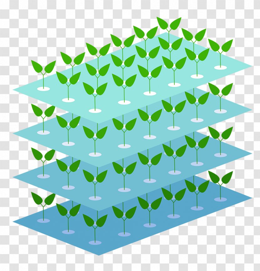 Controlled-environment Agriculture Food Farm Leaf Conservation - Tree - Freshbox Farms Transparent PNG