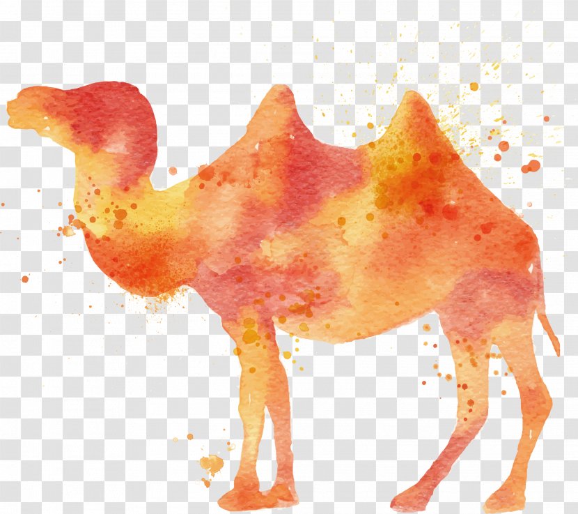 Camel Watercolor Painting Illustration - Vector Transparent PNG