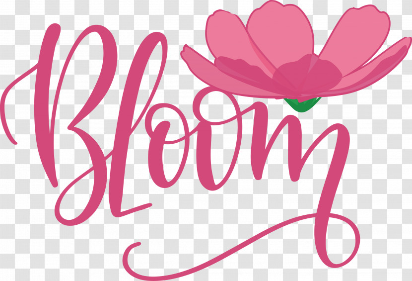 Bloom Spring Transparent PNG