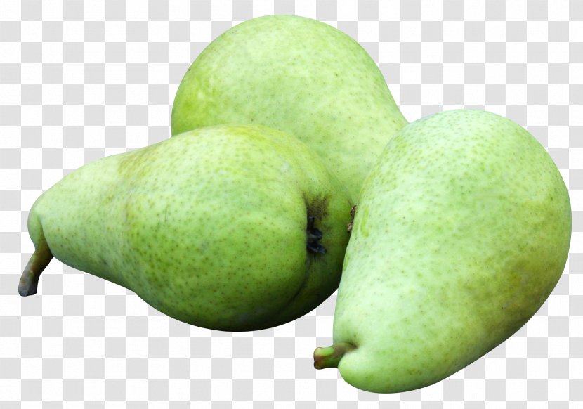 Asian Pear Crisp Apple Fruit Transparent PNG