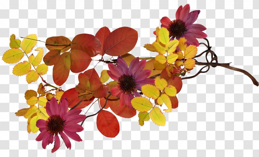 Cut Flowers Floral Design Floristry Petal - 50 Transparent PNG