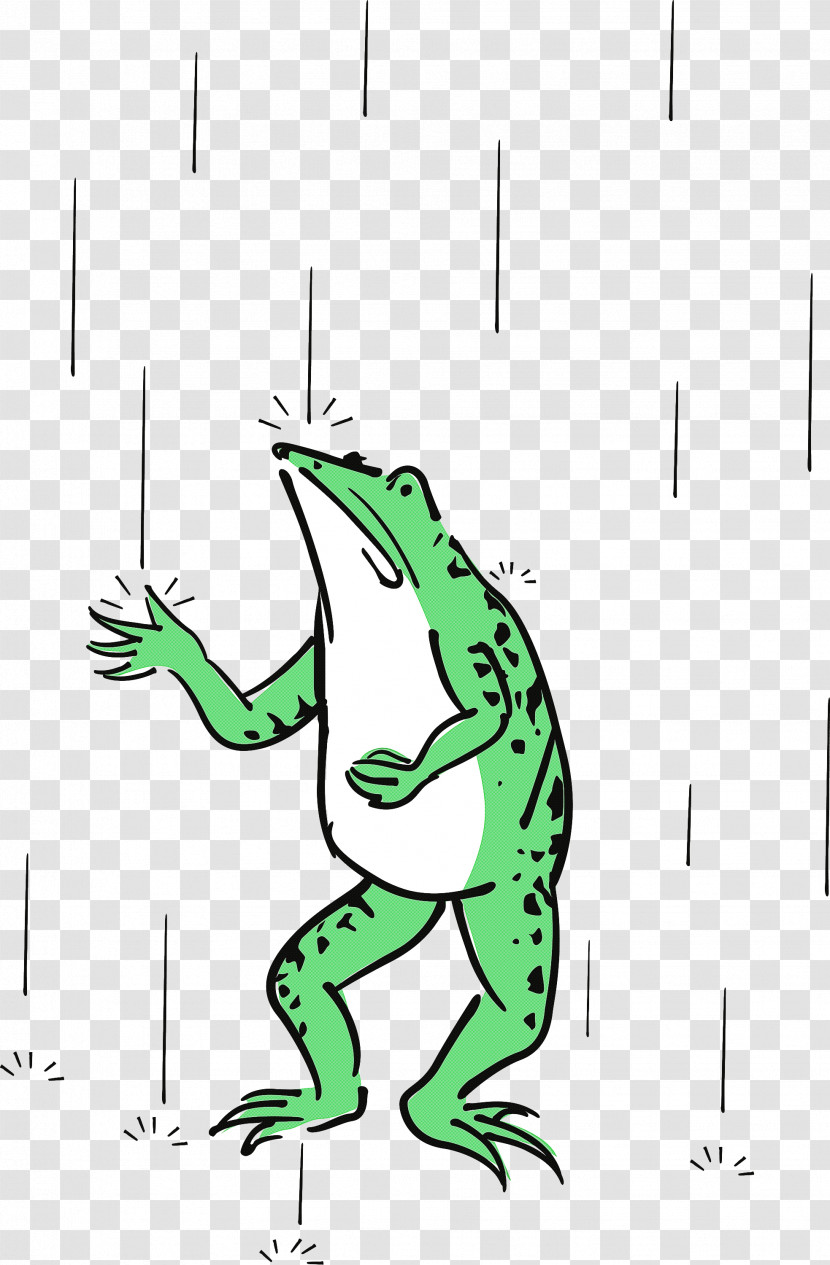 True Frog Toad Frogs Meter Cartoon Transparent PNG
