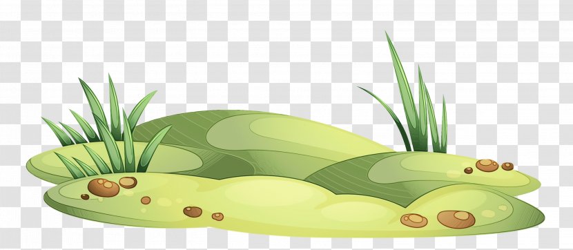 Green Grass Background - Organism - Bromeliaceae Transparent PNG