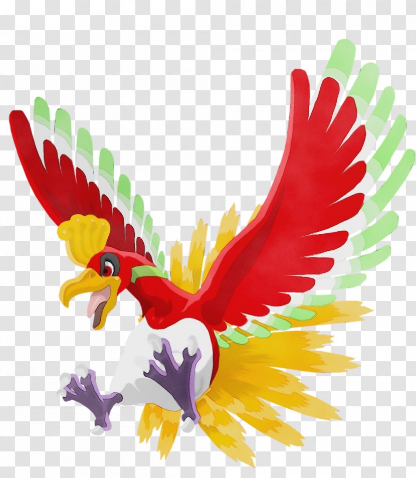 Bird Wing Beak Chicken Parrot - Animal Figure - Rooster Transparent PNG