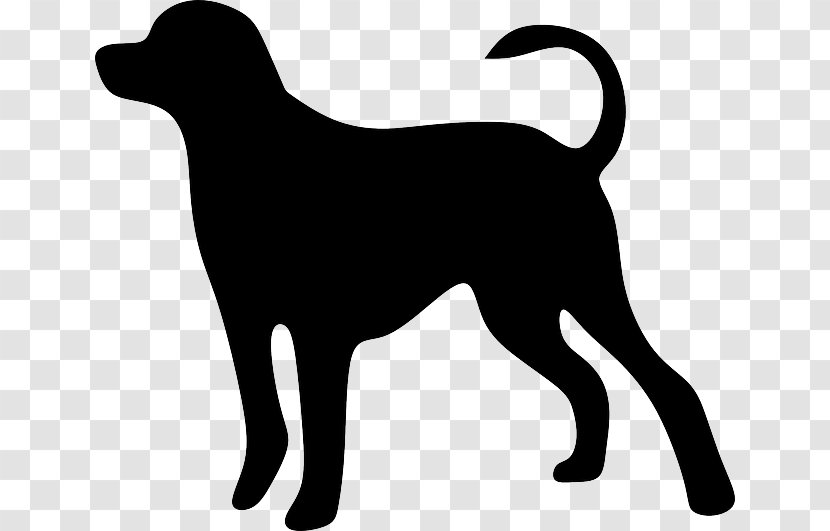 Dog Cat Pet Animal Loss - Whiskers - Gradual Vector Transparent PNG