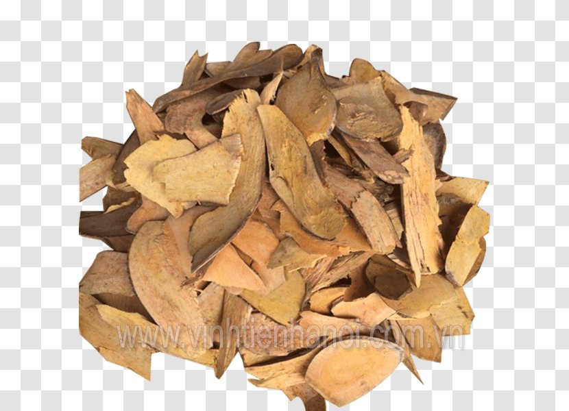 Root Cheese Fruit Health Tea Chenpi Transparent PNG