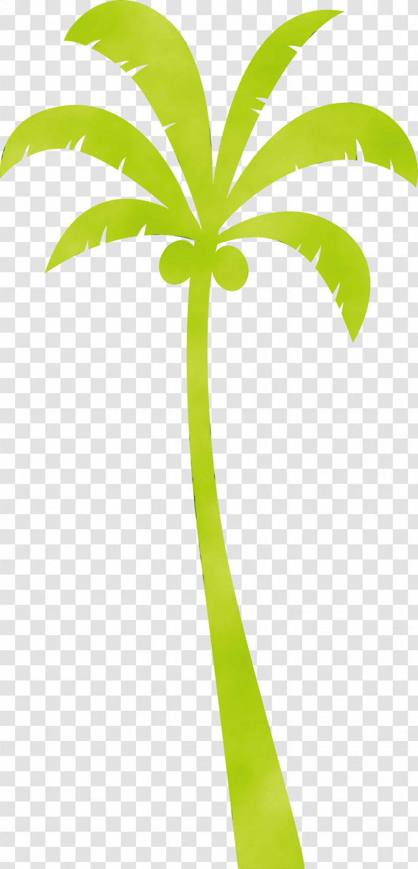 Palm Trees Transparent PNG