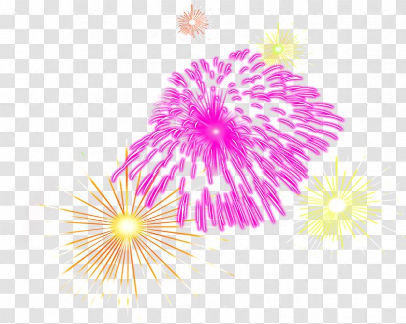 Graphic Design Fireworks Lunar New Year - Violet - Dazzling Image Transparent PNG