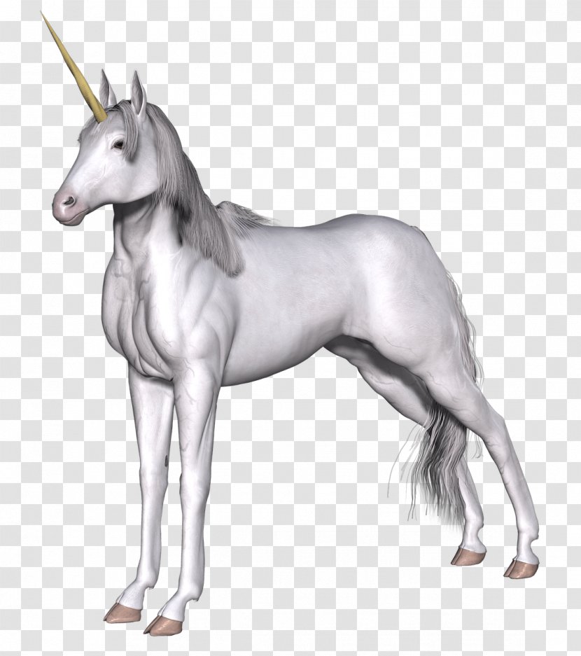 Unicorn Legendary Creature Clip Art - Livestock Transparent PNG
