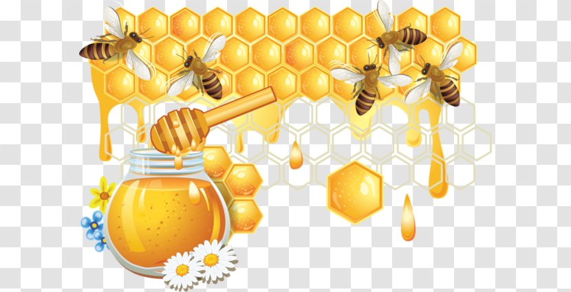 Honey Bee Honeycomb - Invertebrate - Bees And Transparent PNG
