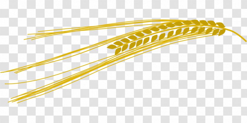 Beer Hops Barley Clip Art - Wheat - Golden Rice Transparent PNG