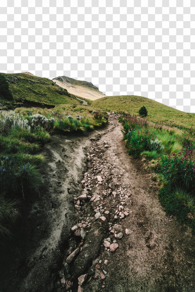 Nature Geological Phenomenon Vegetation Trail Natural Landscape - Soil Reserve Transparent PNG