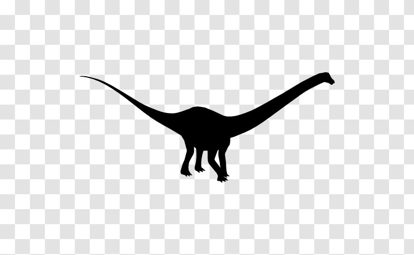 Diplodocus Irritator Iguanodon Amargasaurus Dinosaur Transparent PNG