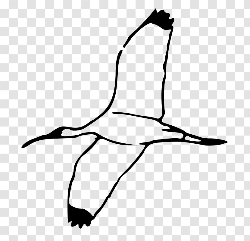 Ibis Clip Art - Line - Birds Flying Clipart Transparent PNG