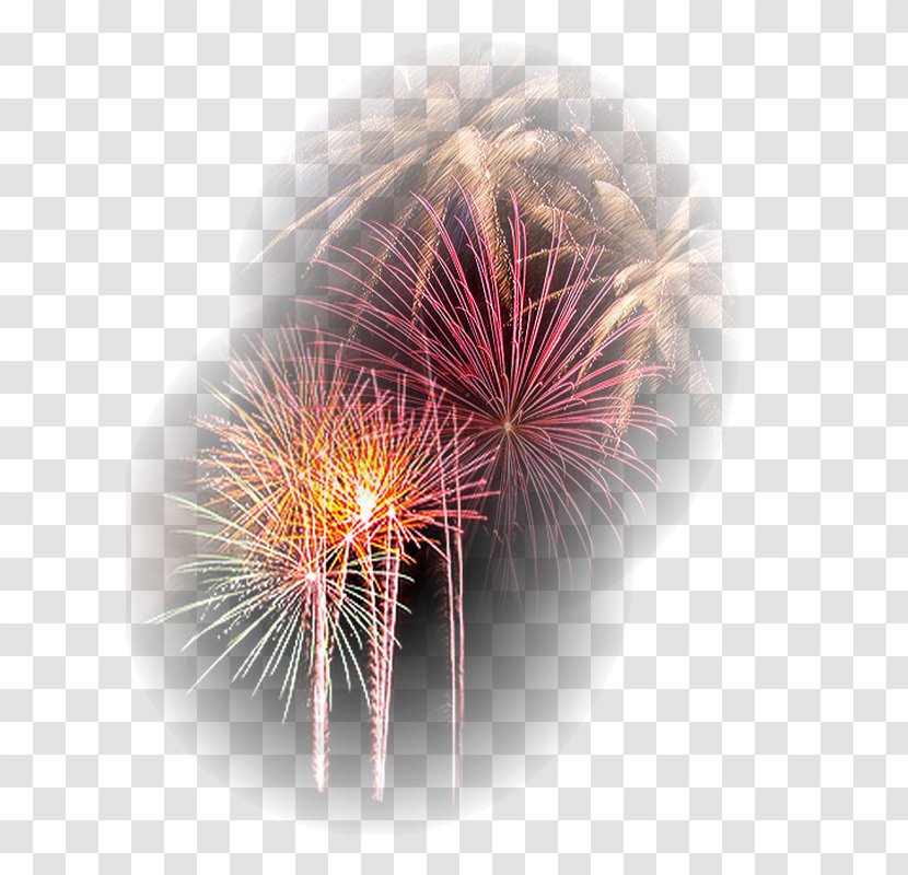 Fireworks Explosive Material Desktop Wallpaper Close-up Dandelion Transparent PNG