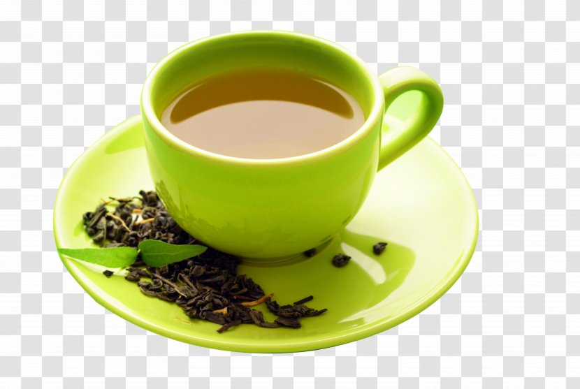 Green Tea Coffee Cupcake - Dandelion - Cup Of Transparent PNG