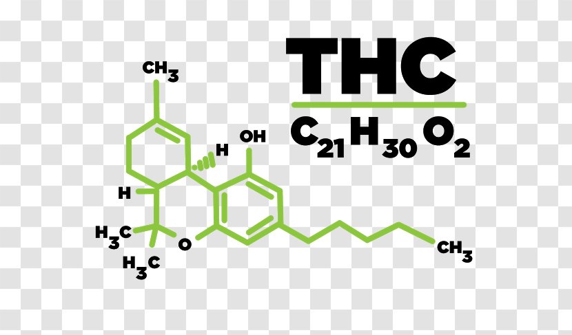 Tetrahydrocannabinol Medical Cannabis Cannabidiol Hash Oil - Substance Intoxication - Thc Transparent PNG