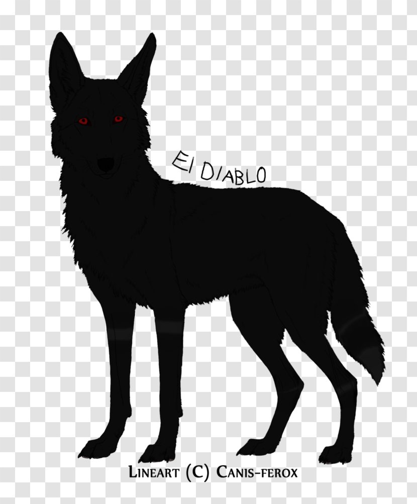 Whiskers Schipperke Dog Breed Red Fox Cat Transparent PNG