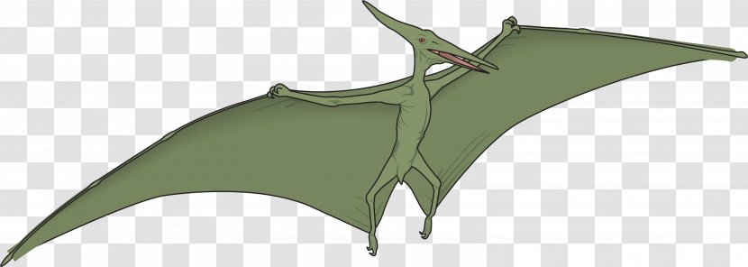 The Flying Dinosaur Silhouette - Dragon Flight Transparent PNG