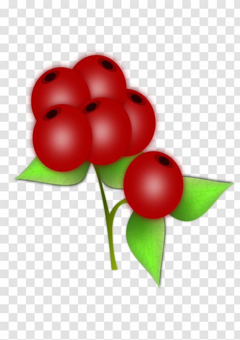 Berry Fruit Clip Art - Plant - Berries Transparent PNG