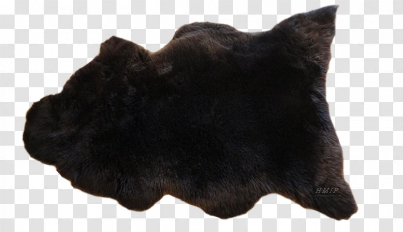 Cat Dog Fur Snout Canidae - Black Transparent PNG