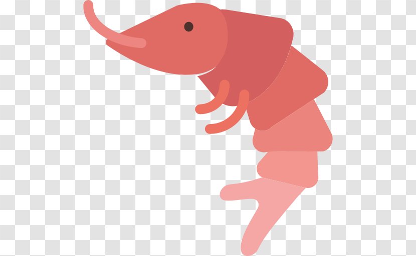 Omega-3 Fatty Acid Krill Prawn - Elephants And Mammoths Transparent PNG