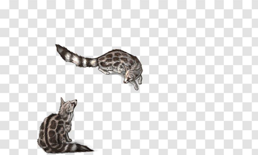 Cat Reptile Tail Wildlife - Carnivoran Transparent PNG