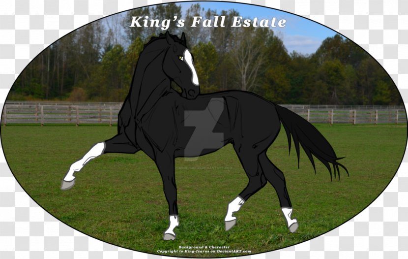 Stallion Dressage Maunsell Forts Bridle Art - Mustang - Tennessee Walking Horse Transparent PNG
