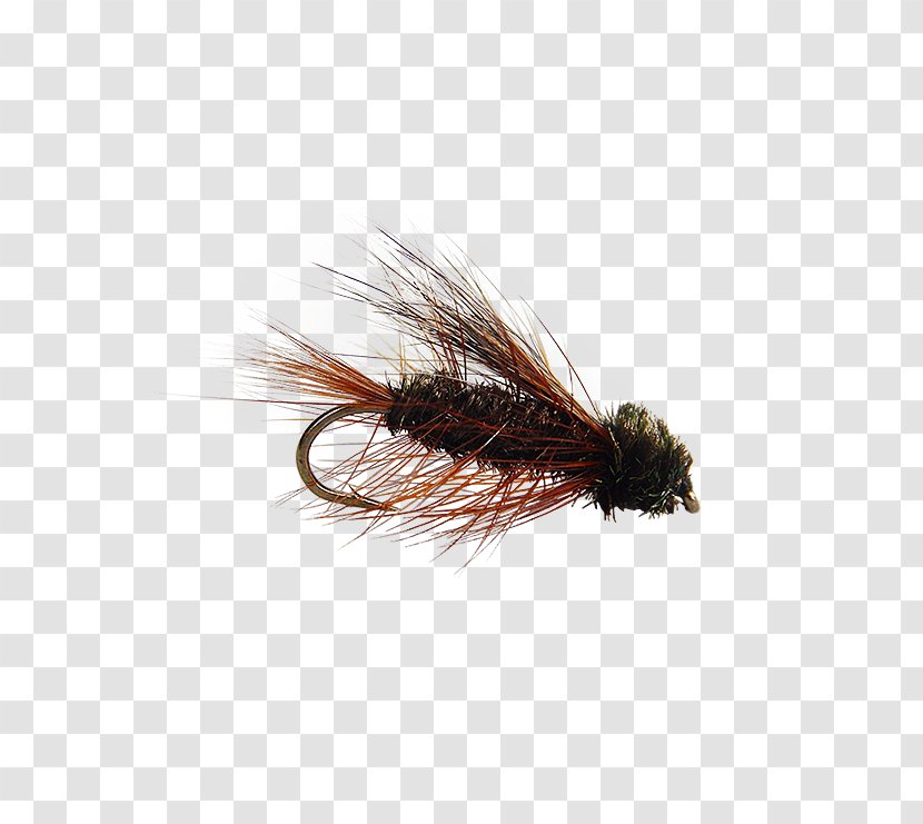 Artificial Fly Fishing Insect - Ifwe - Tying Transparent PNG