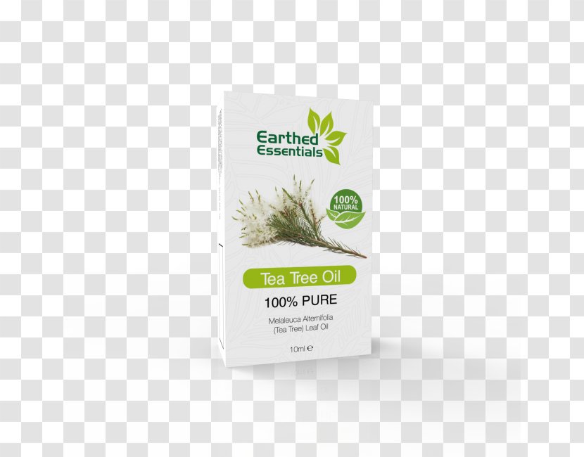 Hemp Superfood Herb Plant Cannabis - 100 Natural Transparent PNG