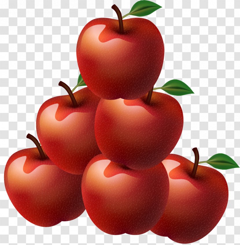 Bush Tomato Barbados Cherry Vegetarian Cuisine Cranberry - Food - Red Delicious Apple Transparent PNG