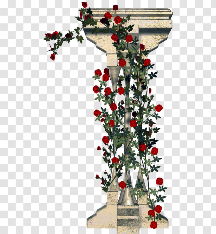 Garden Roses Column Rambler-Rose Floral Design - Pruning Transparent PNG
