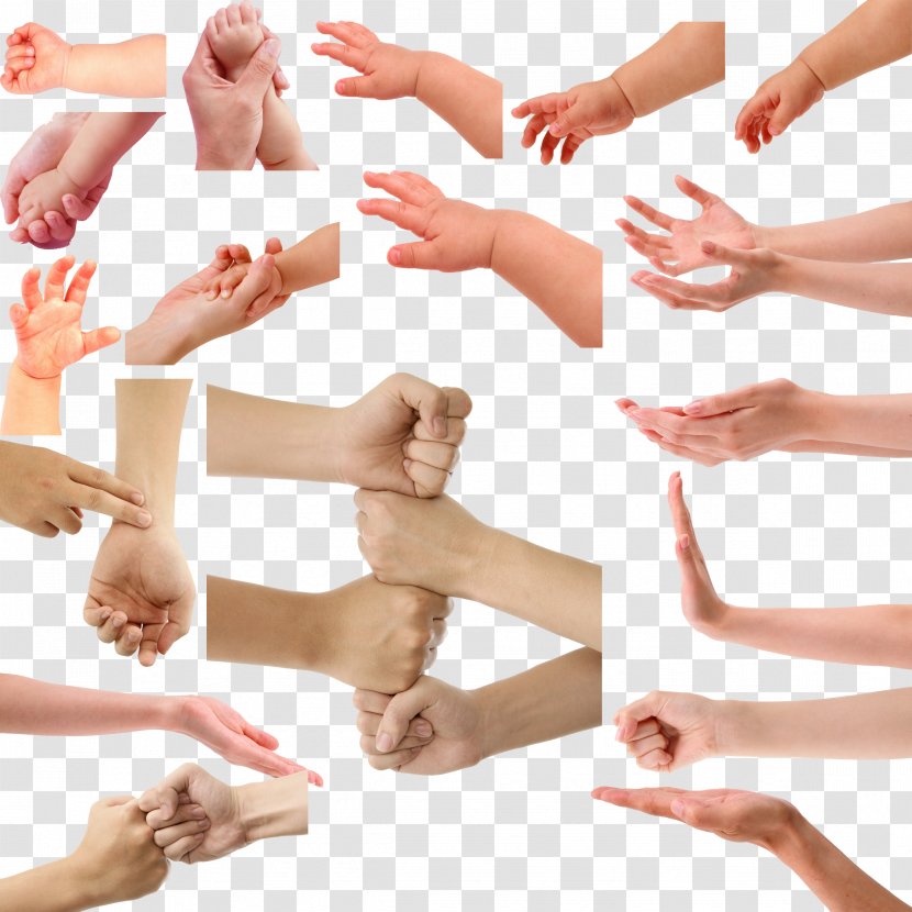 Hand Gesture Download Computer File - Flower - Cutout Free Transparent PNG