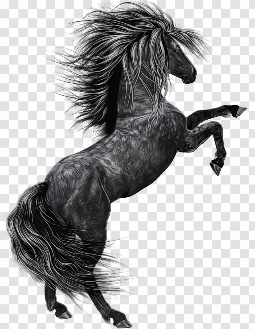 Unicorn - Wet Ink - Blackandwhite Shetland Pony Transparent PNG