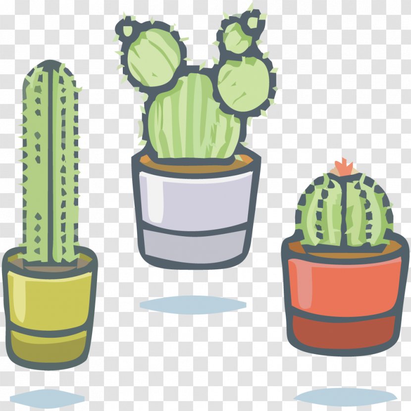 Cactaceae Succulent Plant Illustration - Flowerpot - Vector Green Cactus Transparent PNG