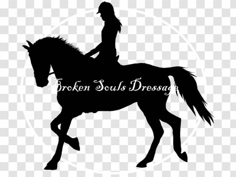 Mustang English Riding Rein Stallion Horse Harnesses Transparent PNG