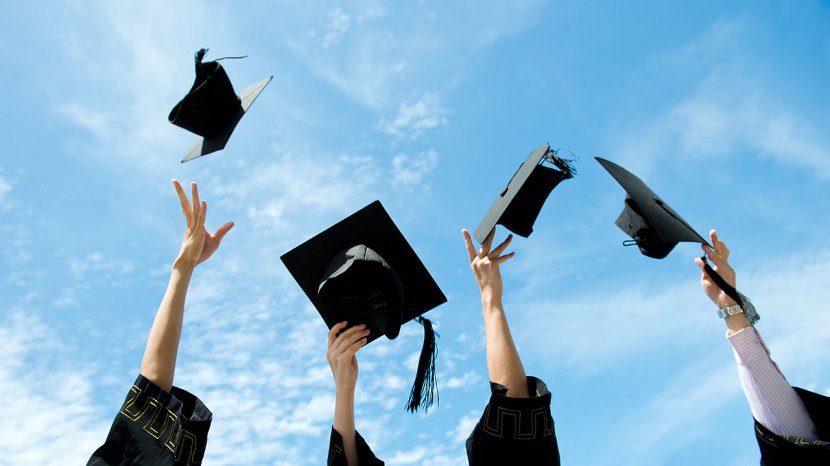 University Of Florida College Academic Degree Bachelor's Major - Education - Graduated Transparent PNG