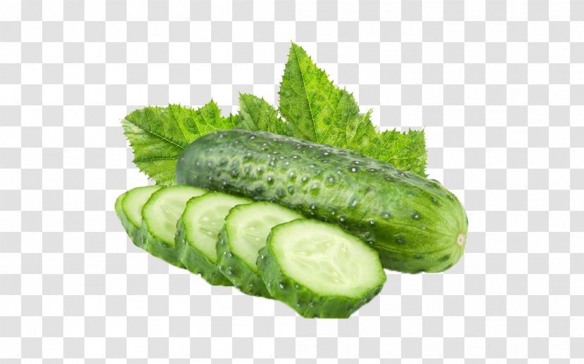 Cucumber Crisp Vegetable Food Peeler - Ingredient Transparent PNG