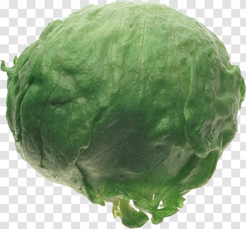 Cabbage Collard Greens Food - Lettuce - Green Mycoplasma Transparent PNG