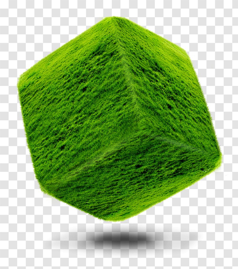 Cube Square Green - Grass Family Transparent PNG