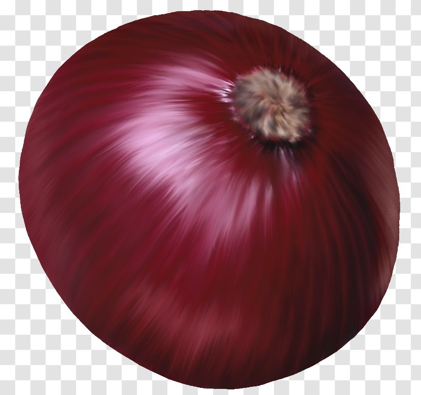 Red Onion Vegetable Clip Art - Garlic - Vegetables Transparent PNG