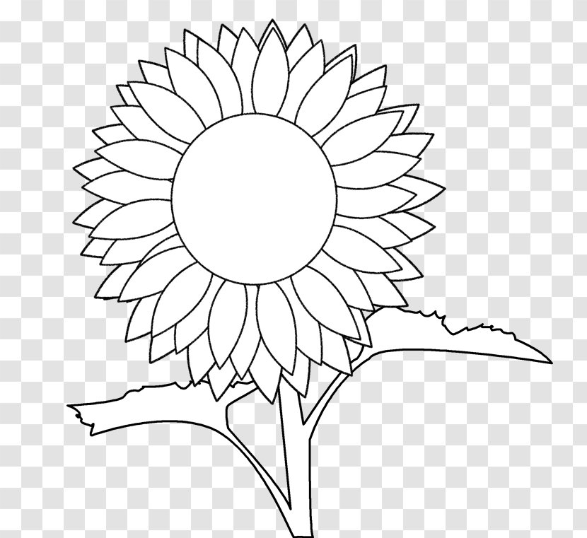 Common Sunflower Coloring Book Drawing Sunflowers Greek Vase Template Transparent Png