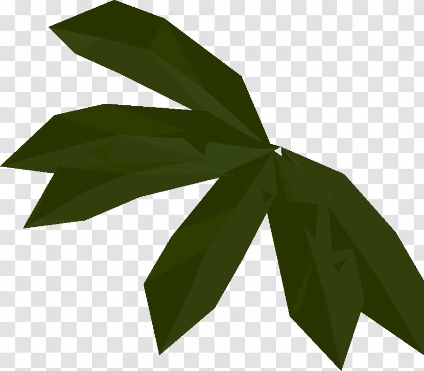 Green Leaf Background - Flower - Plant Transparent PNG