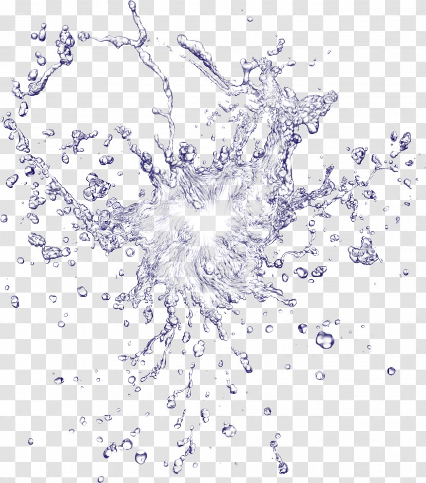 Water Drop Clip Art - Flower - Drops Transparent PNG