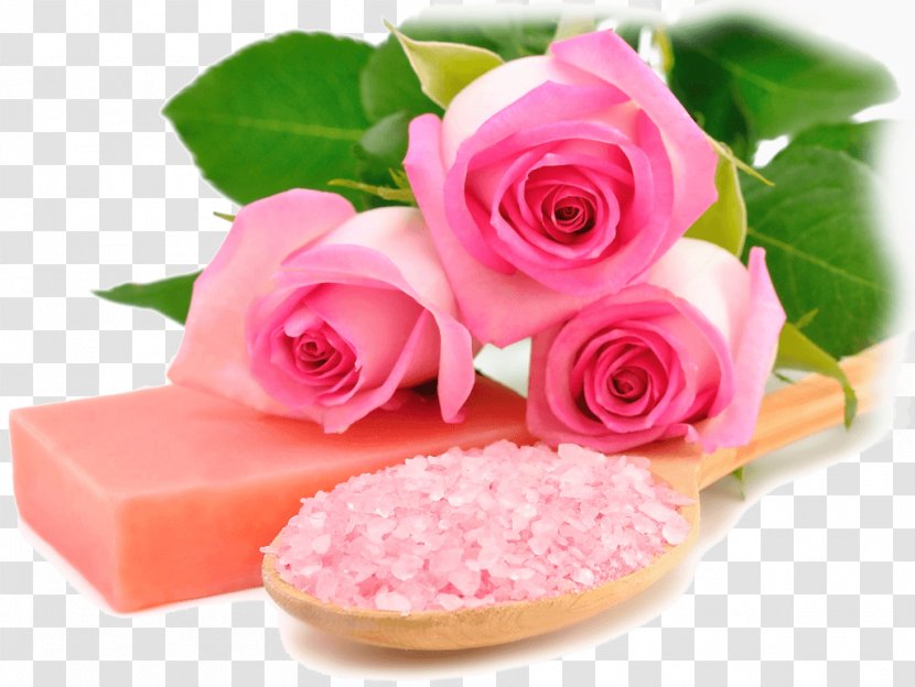 Desktop Wallpaper Rose Pink Spa Flower - Metaphor Transparent PNG