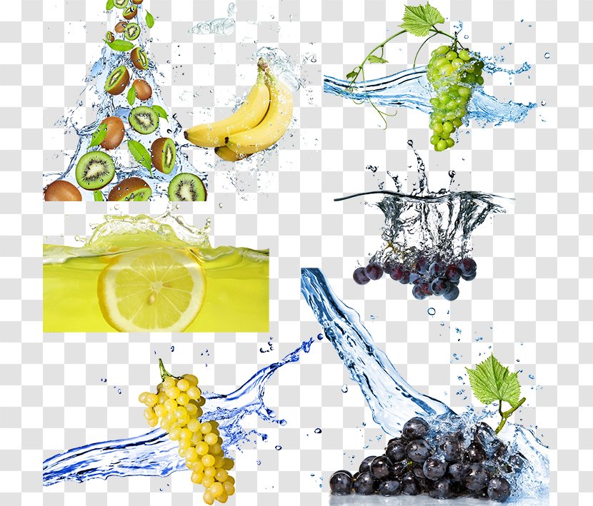 Grape Fruit Stock Photography - Royaltyfree - In Water Transparent PNG
