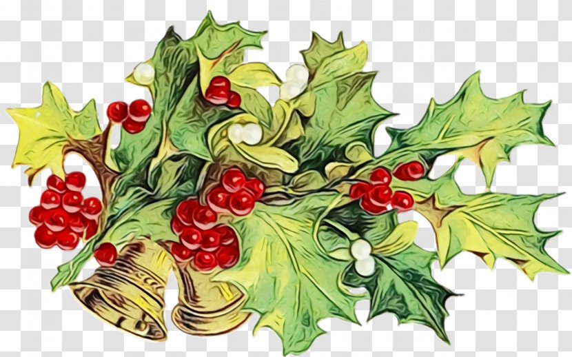 Holly - Paint - Branch Hawthorn Transparent PNG