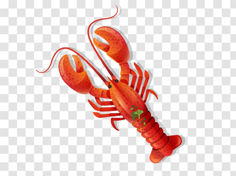 Lobster Seafood - A Transparent PNG