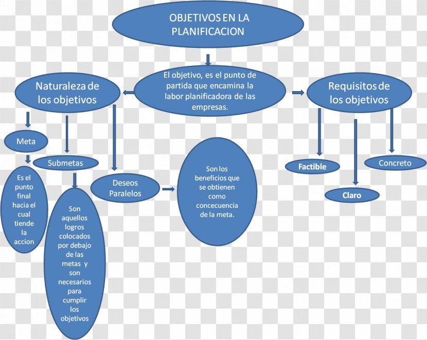 Brand Organization Water - Diagram Transparent PNG