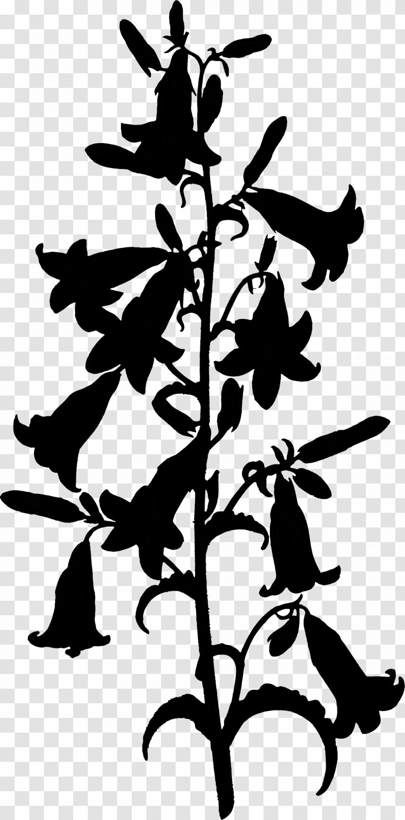 Black & White - Botany - M Clip Art Flower Leaf Plant Stem Transparent PNG